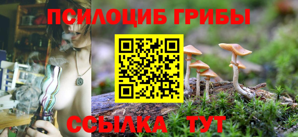 Псилоцибиновые грибы Cubensis  Вход с VPN  Псилоцибиновые грибы ЛСД  купить наркотики сайты  Пугачёв 